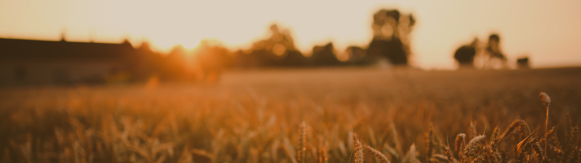 Home Merchants and Planters Bank